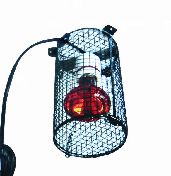 LAMP-CAGE